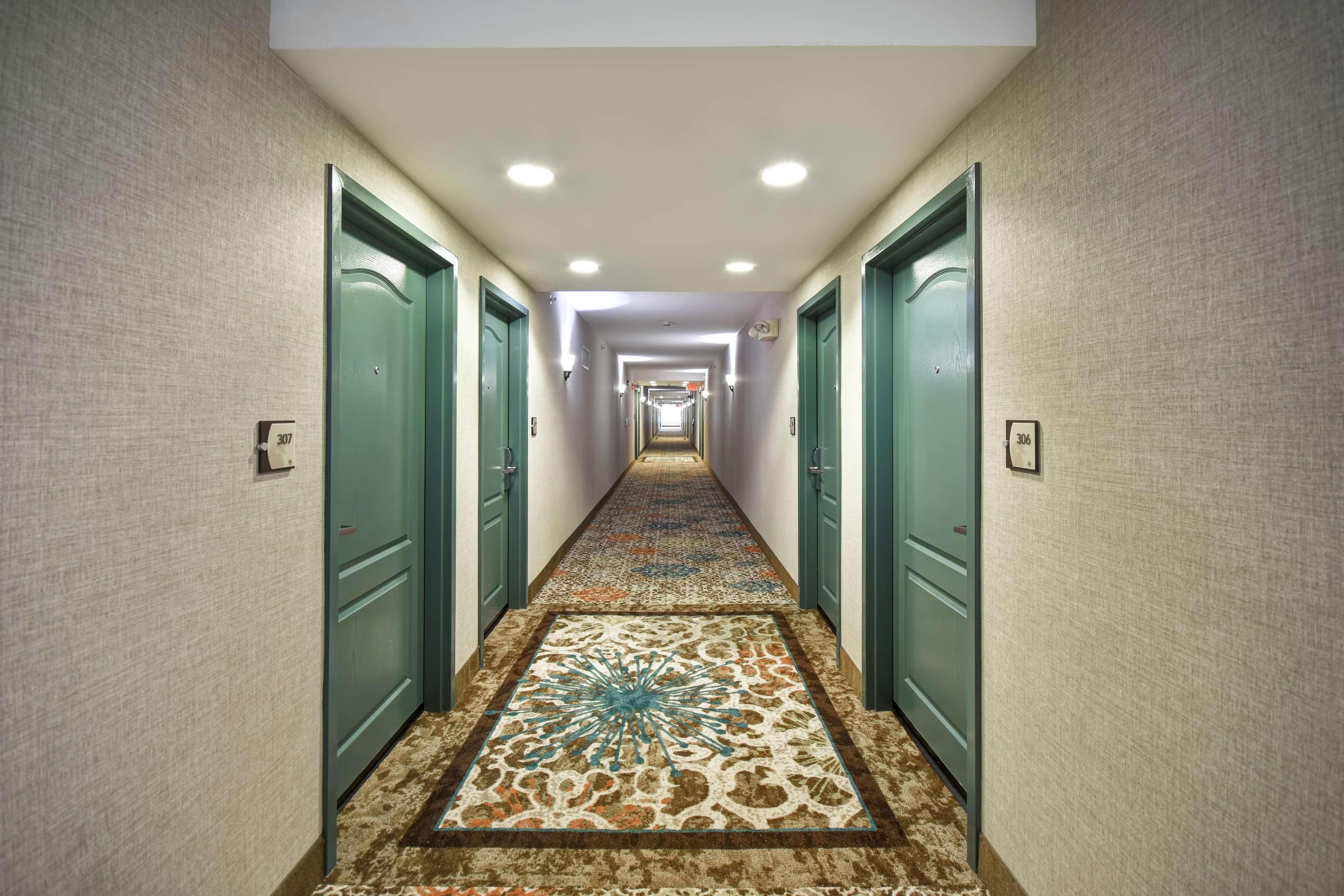 โฮมวูด สวีท บาย ฮิลตัน แลงคาสเตอร์ Hotel Rohrerstown ภายนอก รูปภาพ
